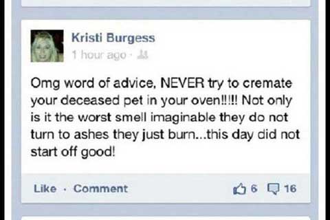 Dumbest People - Never try to cremate your deceased pet
